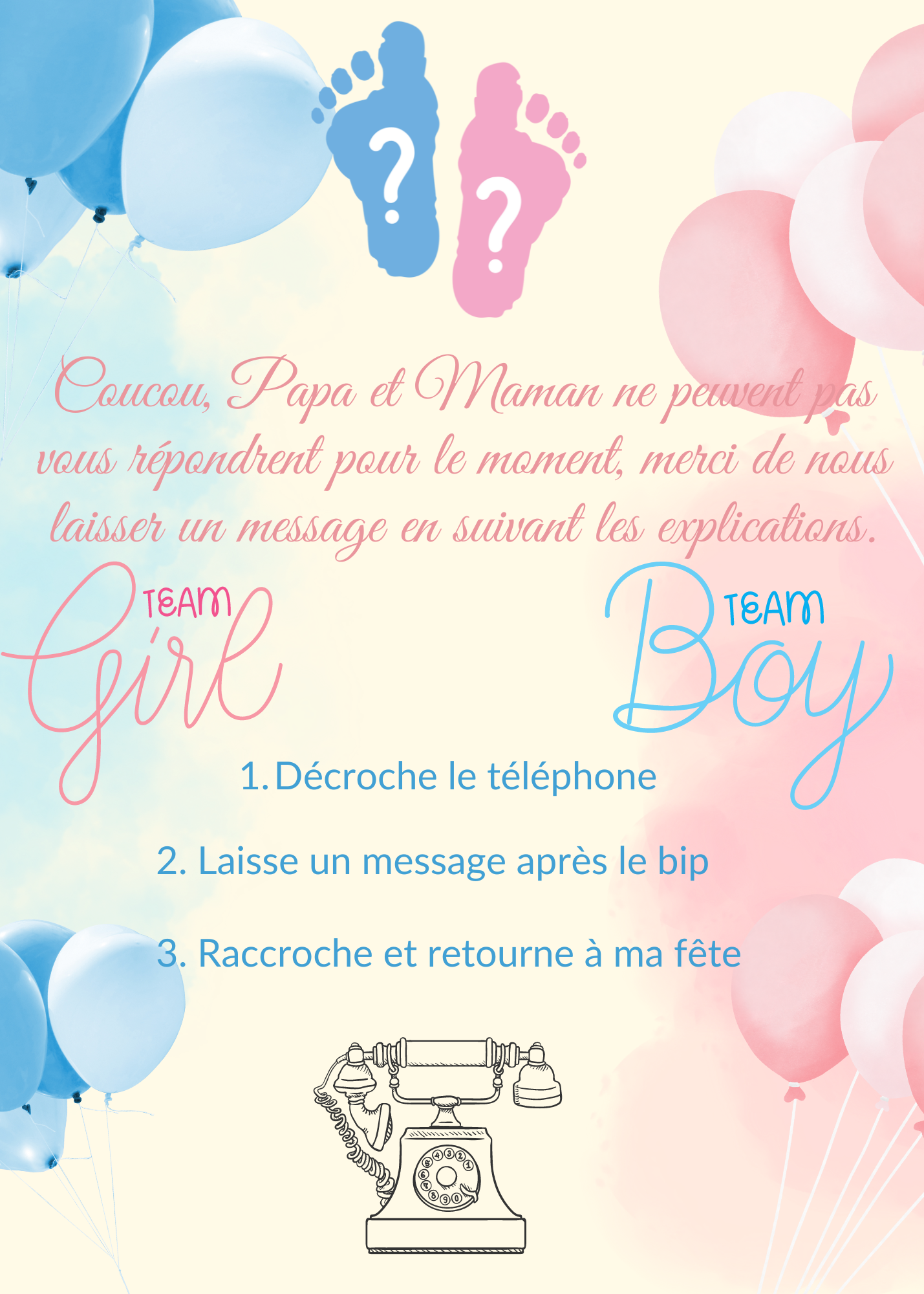 Pink and Blue Cute Gender Reveal Invitation.png cadre explicatif
